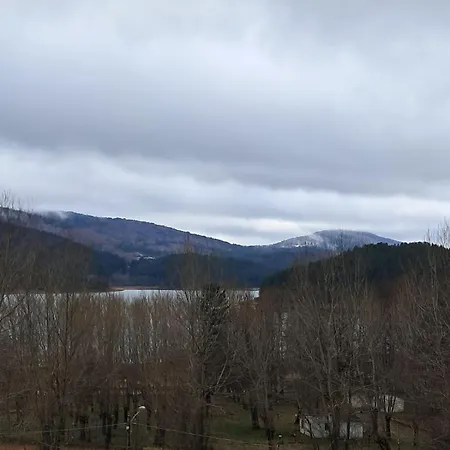 Vista